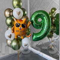 Воздушные шарики Классный кот на 9 лет