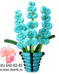 Оригинальные цветы из шаров в корзинке