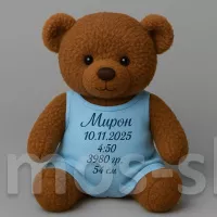 Медвежонок на выписку из роддома мальчика (с персональной печатью)