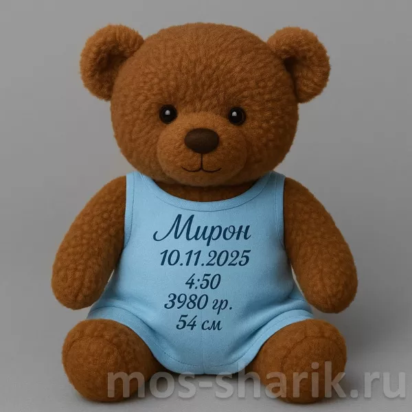 Медвежонок на выписку из роддома мальчика (с персональной печатью) — купить в Москве