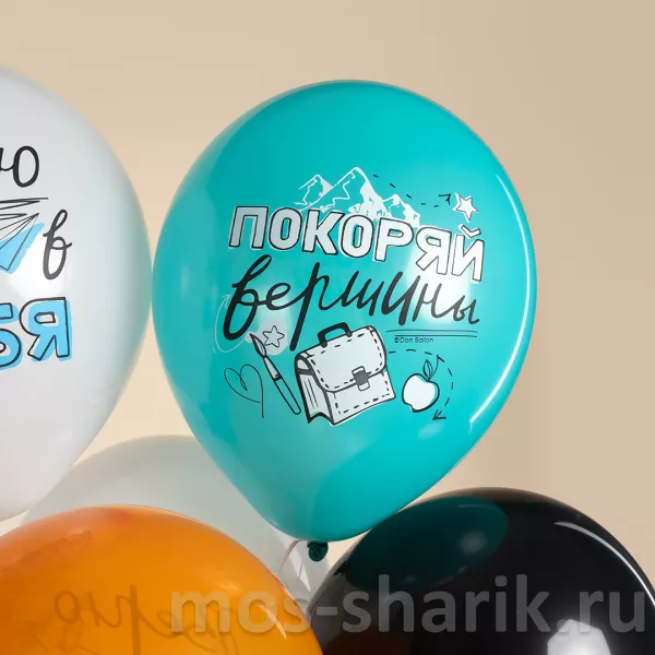 Латексный воздушный шар с рисунком Покоряй вершины