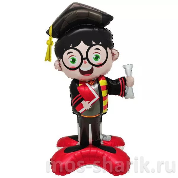 Фольгированный ходячий шар — фигура Мальчик Выпускник в очках — купить в Москве
