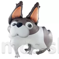 Фольгированный шар с гелием Собака ушастая бульдог