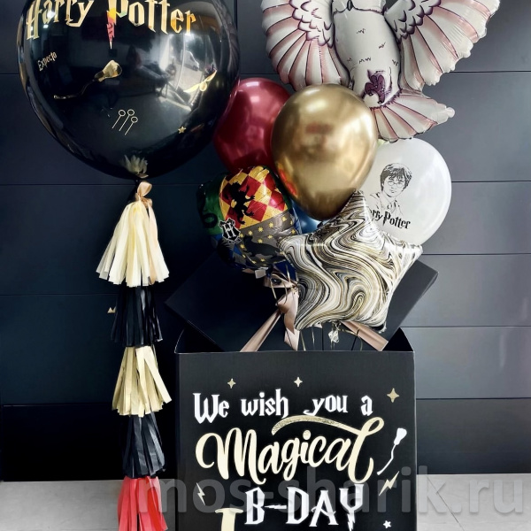 Коробка – сюрприз с шариками Гарри Поттер