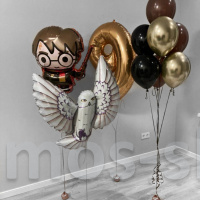 Набор воздушных шаров с гелием Гарри Поттер и Сова Букля
