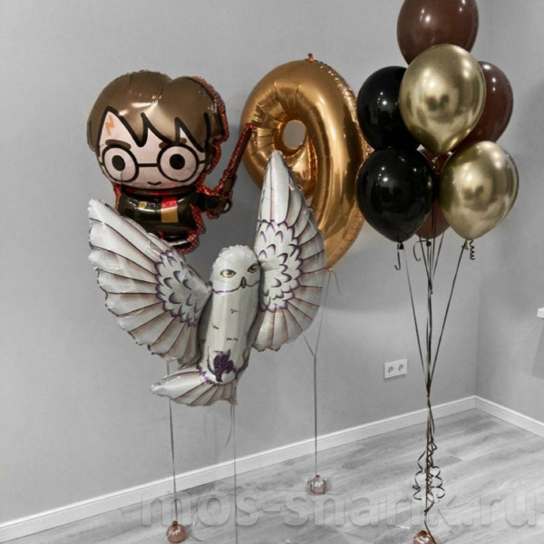 Набор воздушных шаров с гелием Гарри Поттер и Сова Букля