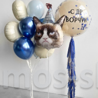 Воздушные шары с гелием Сердитый кот