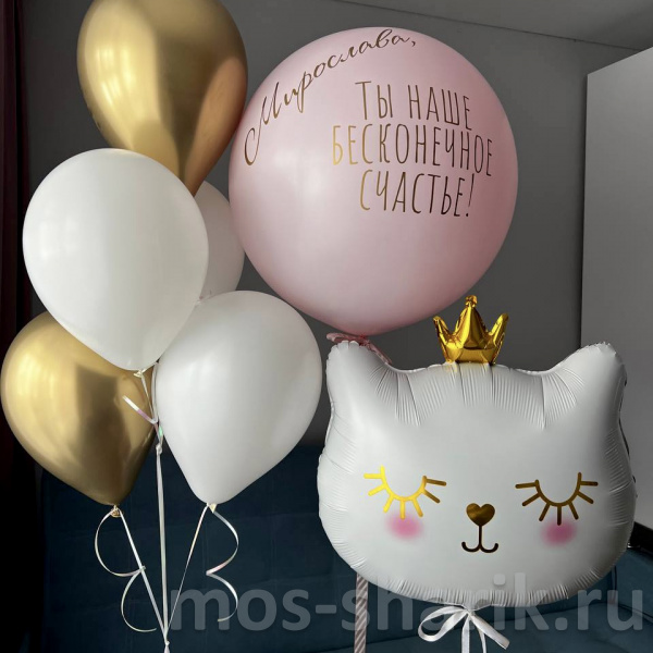 Воздушные шары для девочки Котёнок Принцесса на день рождения