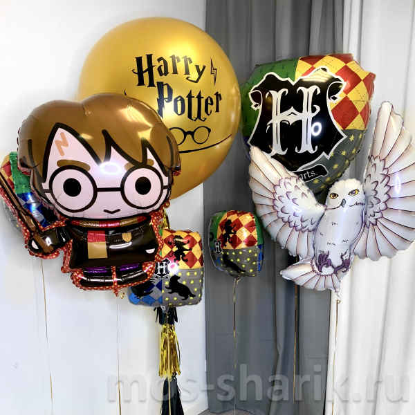 Набор шаров с гелием Гарри Поттер