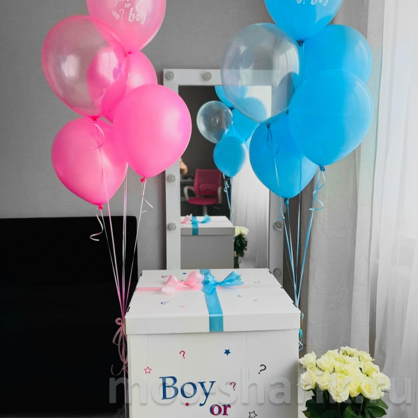 Коробка – сюрприз с двумя фонтанами Girl or boy