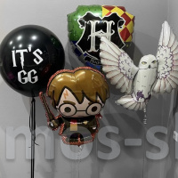 Воздушные шары Гарри Поттер. Хогвартс