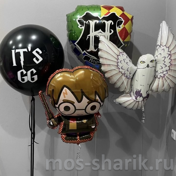 Воздушные шары «Гарри Поттер. Хогвартс»