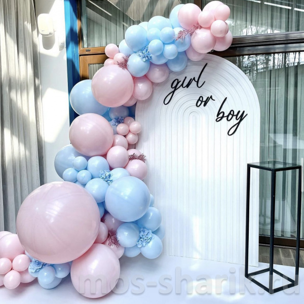 Фотозона из шаров из голубых и розовых шаров на Гендер Пати (определение пола ребенка)