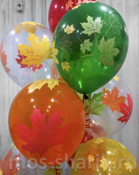 Воздушные шары с гелием «Осенние листья»